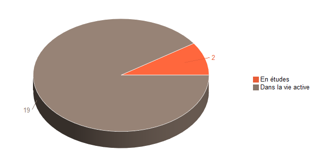 Pie chart of V1SituationAgrR