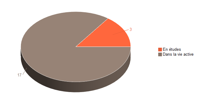 Pie chart of V1SituationAgrR