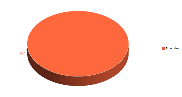 Diagramme circulaire de V1SituationAgrR