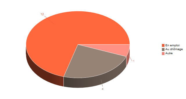 Diagramme circulaire de V2SituationR