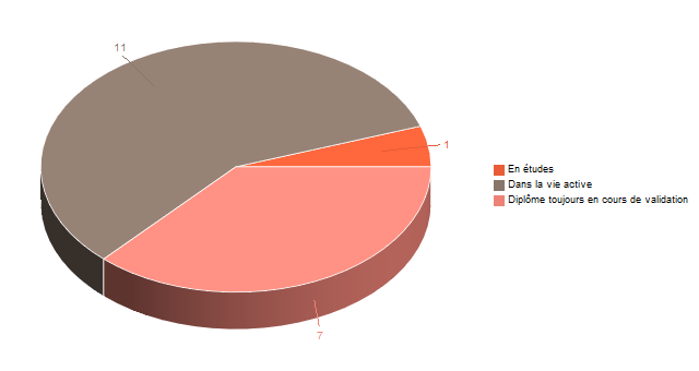 Diagramme circulaire de V1SituationAgrR