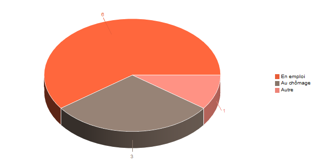 Diagramme circulaire de V2SituationR