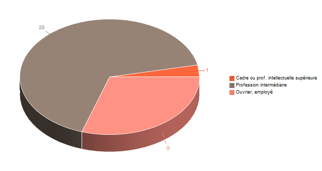 Diagramme circulaire de V2CS